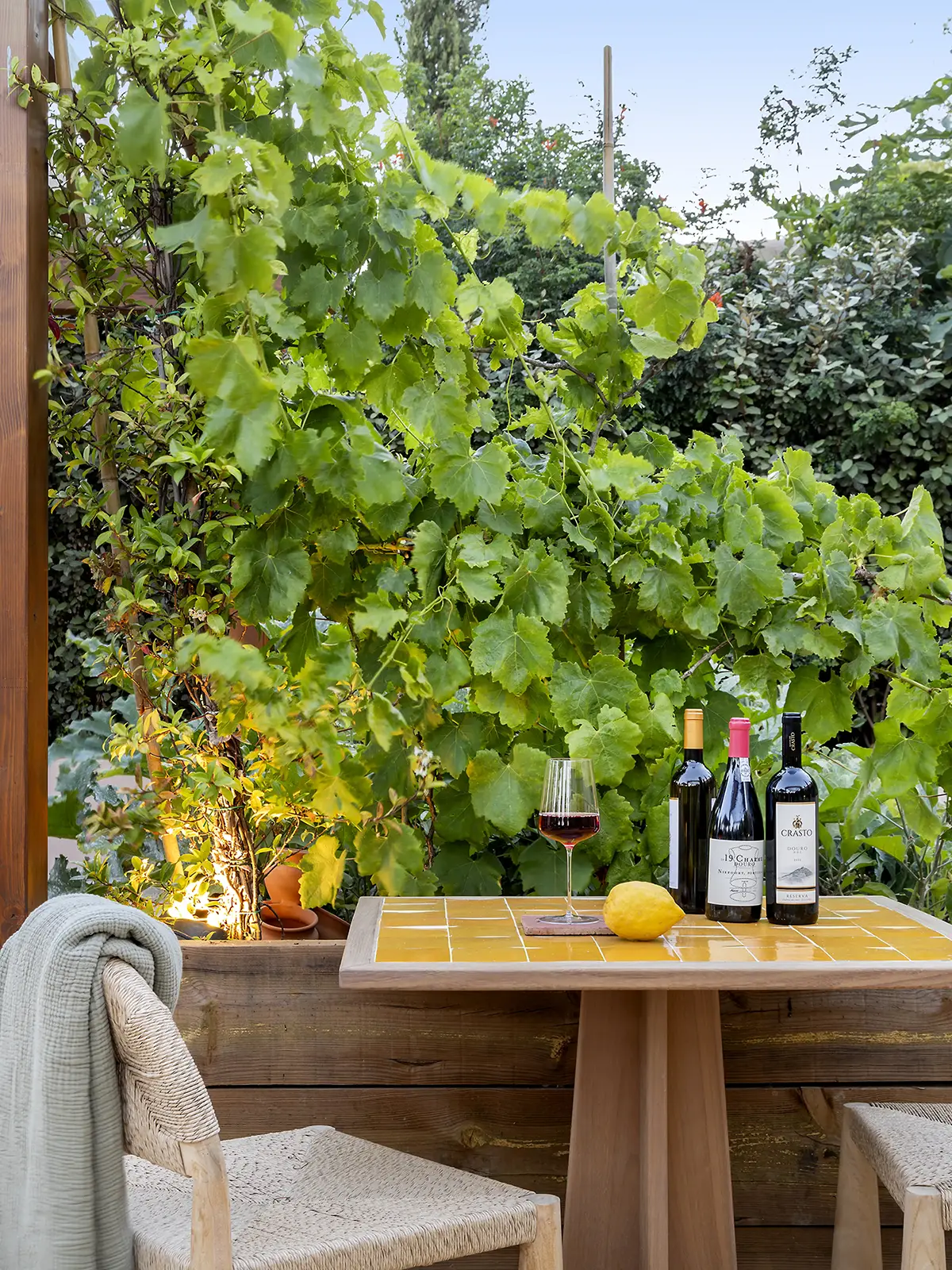 Table with wine bottles under vines at Raízes, Horta da Terra