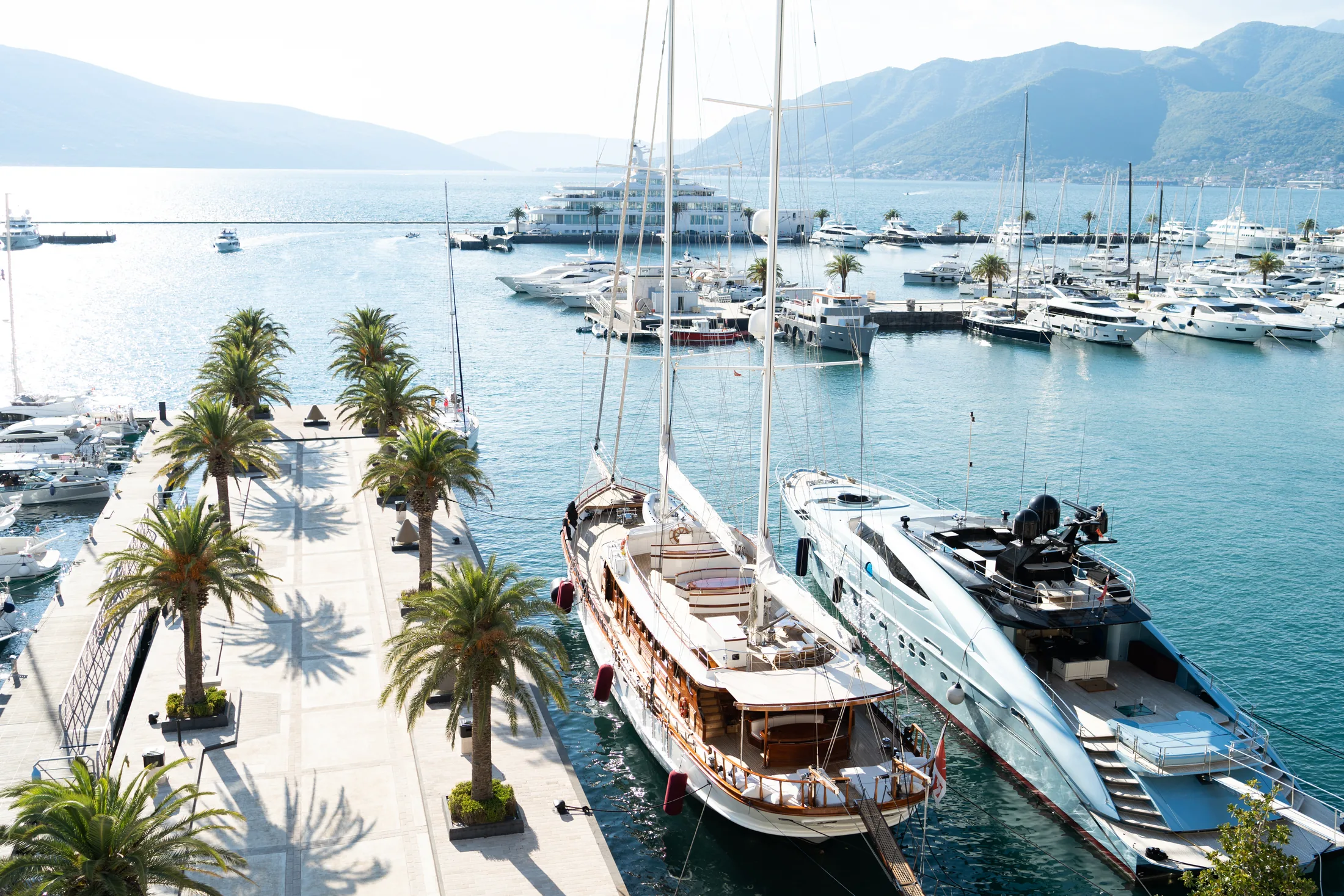 Superyachts moored along a palm-lined marina, with mountains in the distance