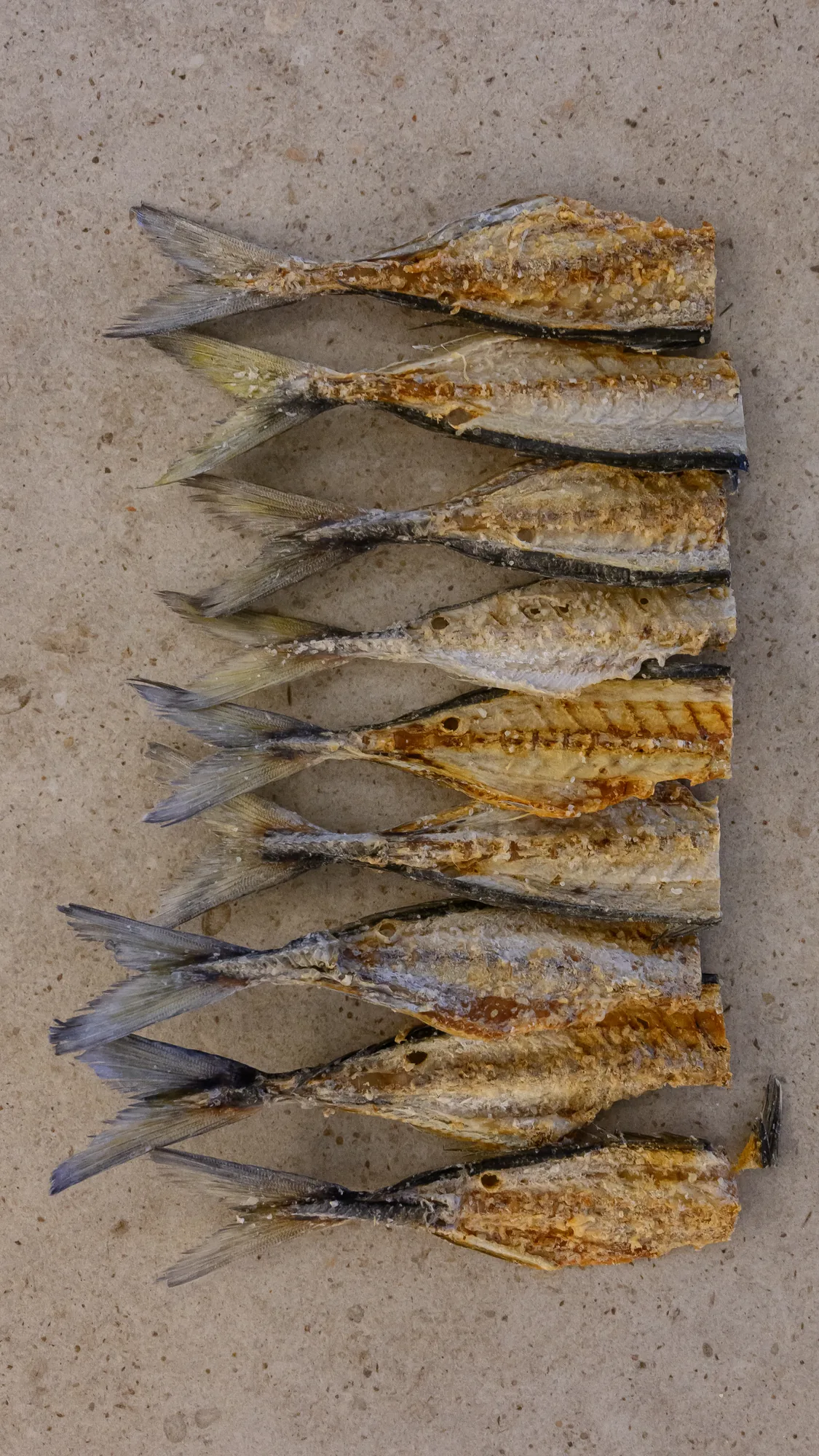 Row of grilled sardines at Coral, Edén do Mar